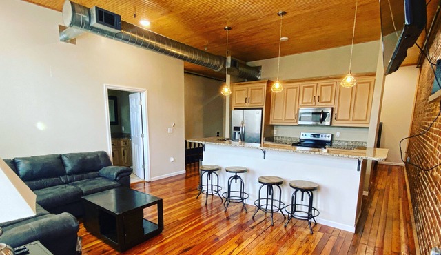 Luxurious Downtown apartment