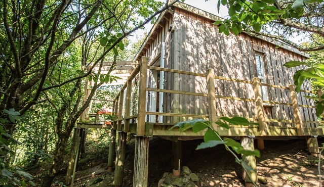 Luxurious eco treetop cabin 5 mins from the beach