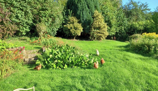 Luxurious Entire Studio in Axminster Suitable for