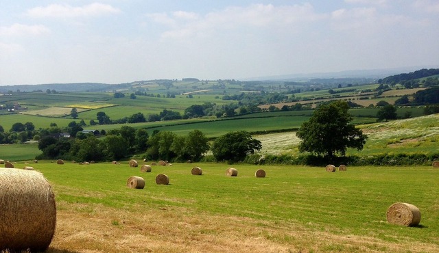 Luxurious Georgian cottage in the hidden gem of Sibford Gower
