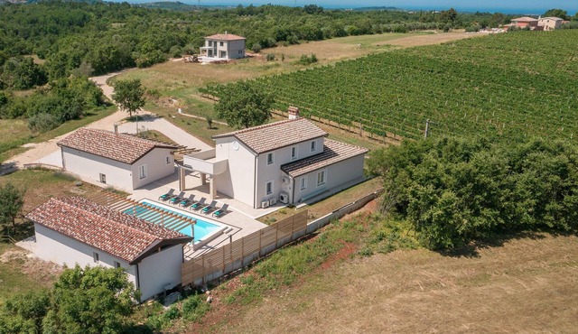 Luxurious home in Buje