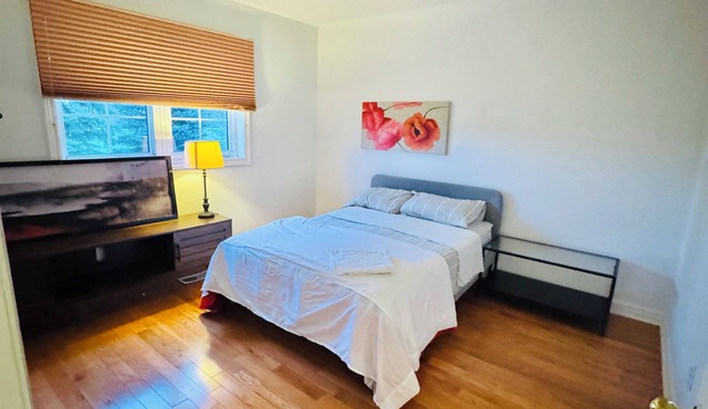 Luxurious House - 4 Bedrooms, 1 king, 3 queen, 1 singe bed near airport sq1