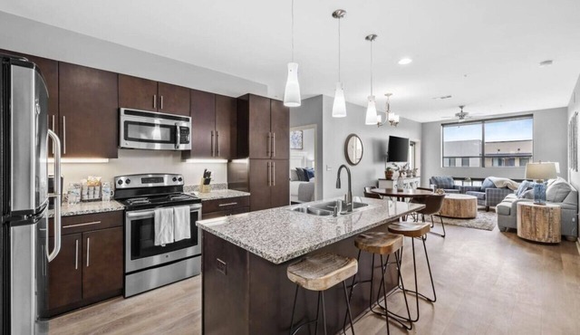 Luxurious Large 2 bed 2 bath Downtown Condo- #402