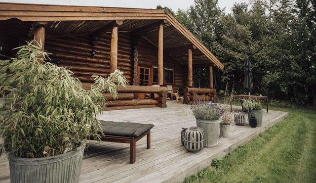 Luxurious log house near water and forest