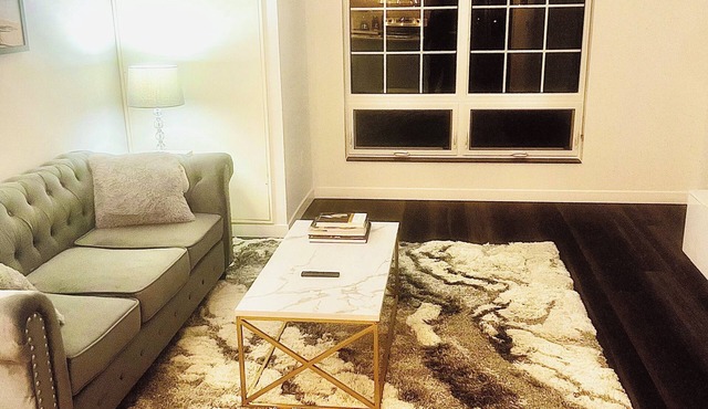 Luxurious Pet-friendly Downtown Apartment