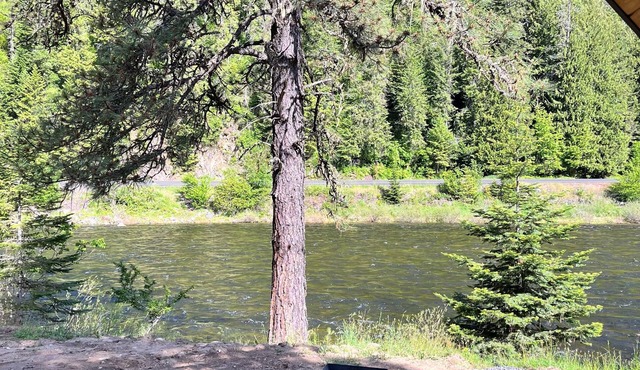 Luxurious River Front Cabin
