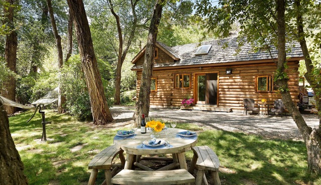 Luxurious Riverfront Cabin on the Frying Pan River - 1 block to Basalt
