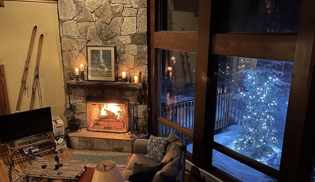 Luxurious Rustic Chalet in Solitude