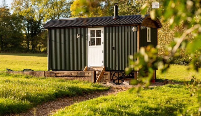 Luxurious shepherd's hut with star gazing skylight, secluded countryside location with fantastic views