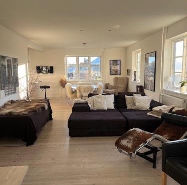 Luxurious, spacious apartment - Nordic Style
