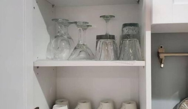 Luxurious Upscale Basement Guest House