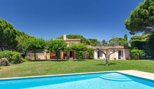 Luxurious villa with a large swimming pool villa