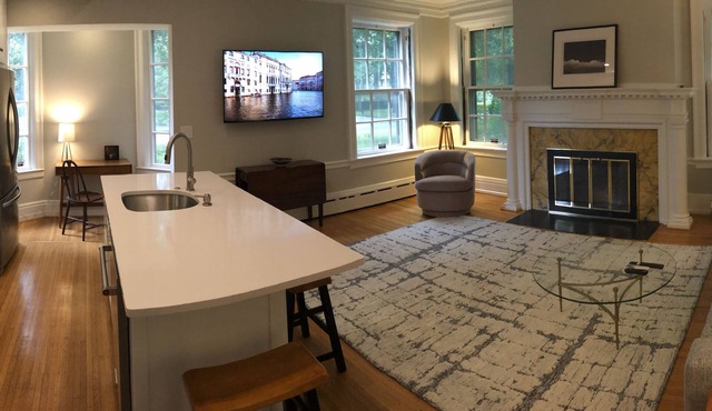 Luxuriously Remodeled 1BD Apt in Historic 1906 Mansion