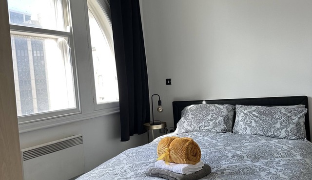 * Luxury 1 Bed Penthouse - City Center * NEXT TO STADIUM