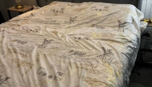 Luxury 1-Bedroom Home with Themed Rooms & Private Party Space