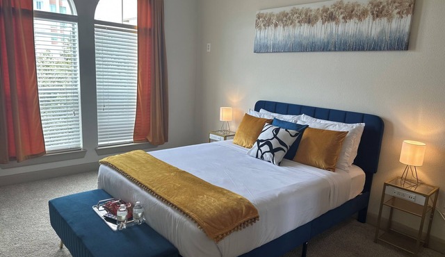 Luxury 1 bedroom in Houston