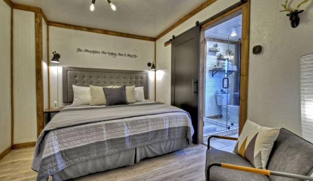 Luxury 1 BR/BA modern rustic suite in Downtown BR