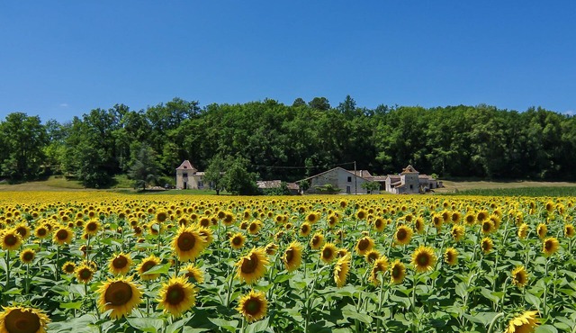 Luxury 1 bd gite. Rural & Peaceful. Eymet just 5 mins away. Fast Starlink WIFI.