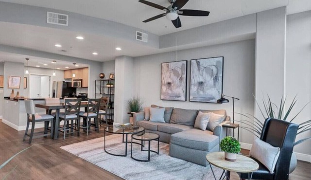 Luxury 1260sq ft 2 Bd/2BTH in DT