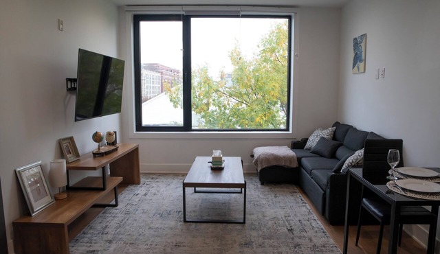 Luxury 1BR in Park View DC 1449