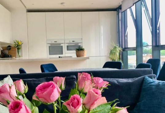 Luxury 2 bedroom apartment 20 min from central London