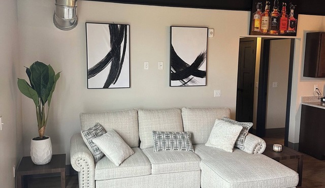 Luxury 2-bedroom condo in downtown Kalamazoo