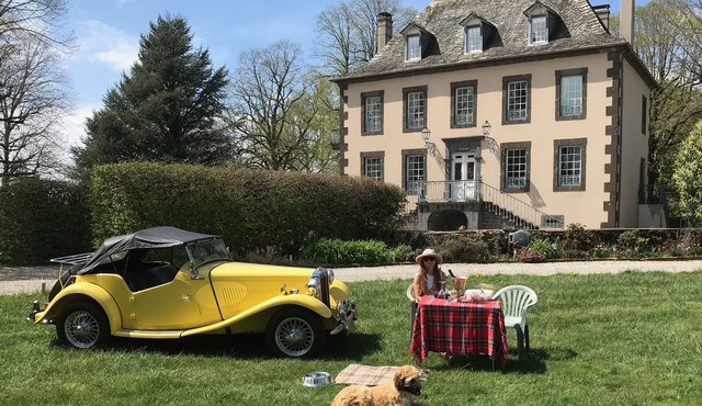 Luxury (4 Star) Manoir house and Gite.On the edge of a small village