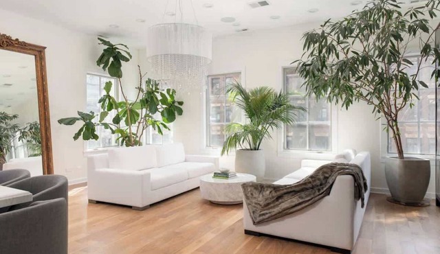 Luxury 4BD Gold Coast Penthouse with Deck & Views