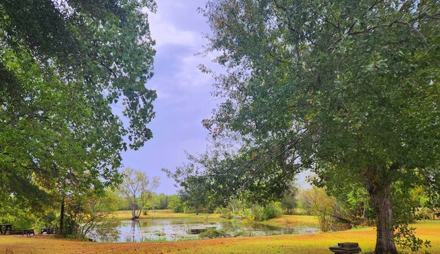Luxury 5-acre 4BD private pool and own lake with fishing - sleeps 10