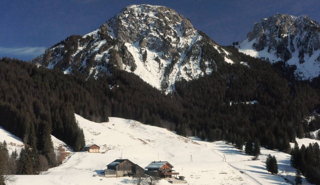 Luxury 5 Bedroom panoramic Chalet - Near Gstaad