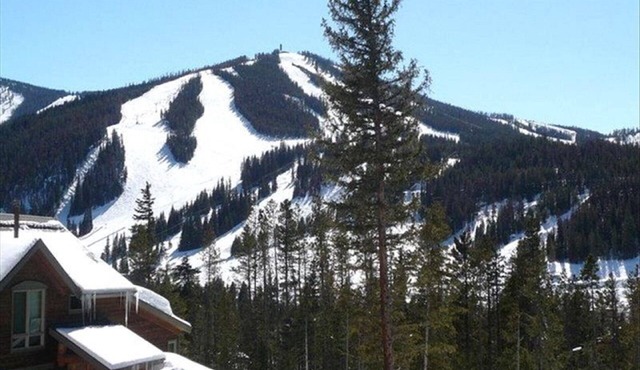 Luxury 5br 4.5 Bath, 2 Primary Bedrooms! Across from Ski Resort. License 005650