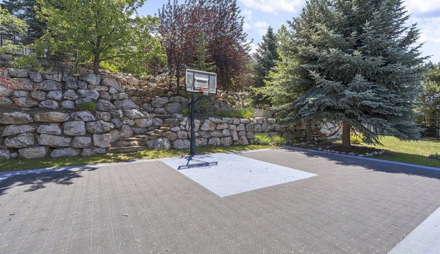 Luxury - 6000sqft- Sleeps 22+ Basketball, Billiards, Theater, Game, PrincessRoom