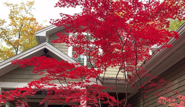 Luxury AC’d 4bed 4.5bth in Woodstone. JUNE 12-19; AUG 1-8; AUG 29-Sept 5 OPEN