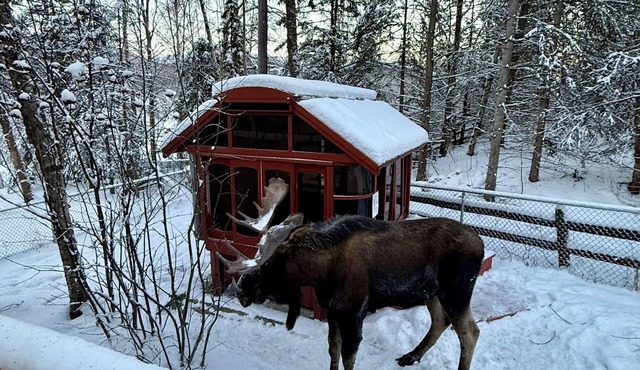 Luxury Alaska Retreat w/Hot Tub, Rain Shower & Mountain/Ski Views Sleeps 16