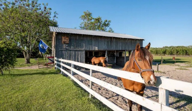 Luxury and comfort Rv on a farm