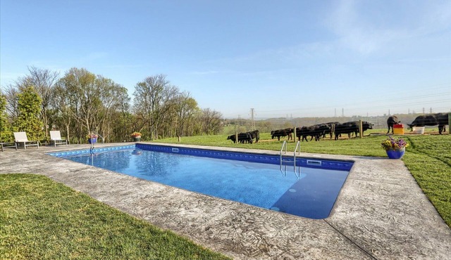 Luxury Angus Ranch Estate Pool & HotTub Private 50-Acre Retreat Near Hershey