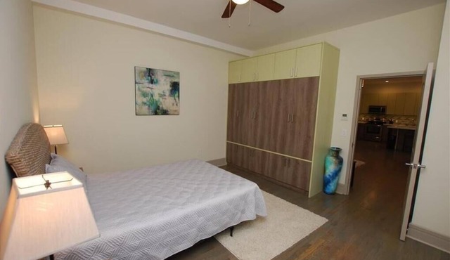 Luxury Apartment in Downtown Utica