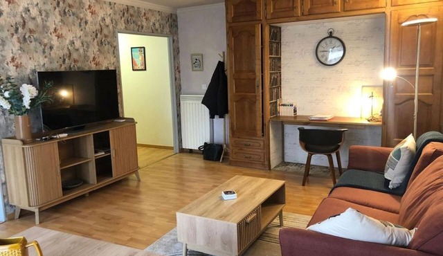 Luxury apartment in the center of town