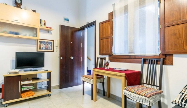 LUXURY APARTMENT NEAR CATHEDRAL WITH INTERNET WIFI FREE&SAT (OPTIONAL PARKING)