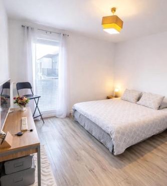 Luxury apartment near CDG & Parc Asterix