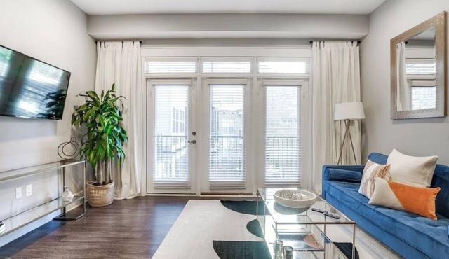 Luxury Apartment Near Emory Hospital & University