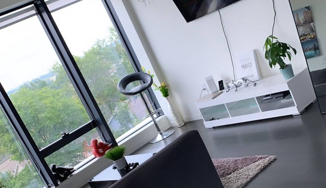luxury apartment