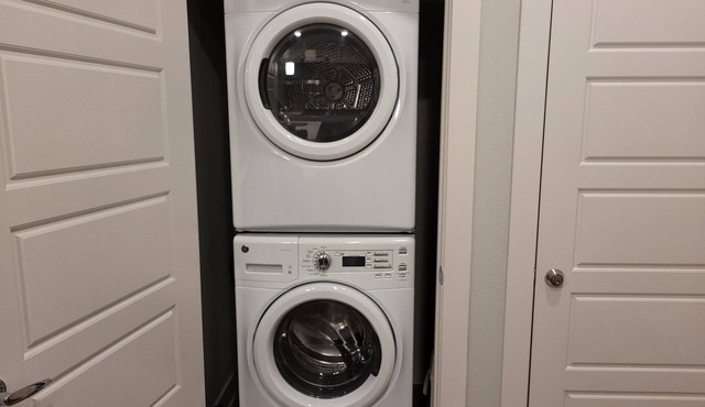 Luxury Apartment