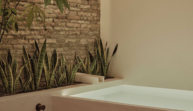 Luxury Apartment with swimingpool