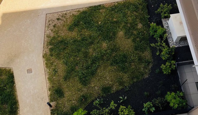 Luxury apartment with terrace and view of the City of Light