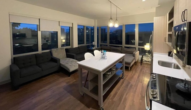 luxury apt by the lake Boston