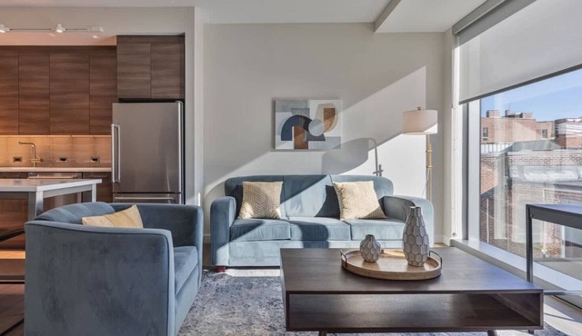 Luxury Apt In Heart of Back Bay