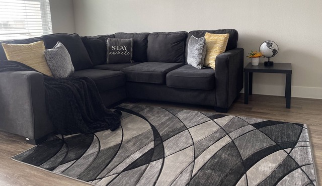 Luxury Apt in the Heart of Downtown 1bd/ 1ba