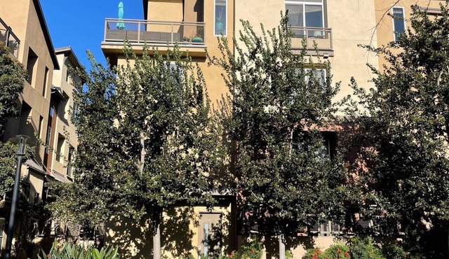 LUXURY ARTISTIC TOWNHOUSE & LOFT W/PRIME VIEW & LOCATION