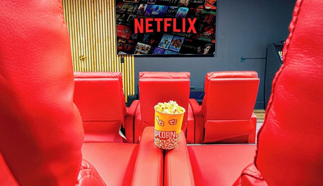 Luxury Asheville Oasis - Sauna - Movie Theater
